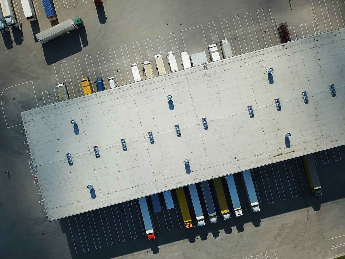 Transport lotniczy zwierząt